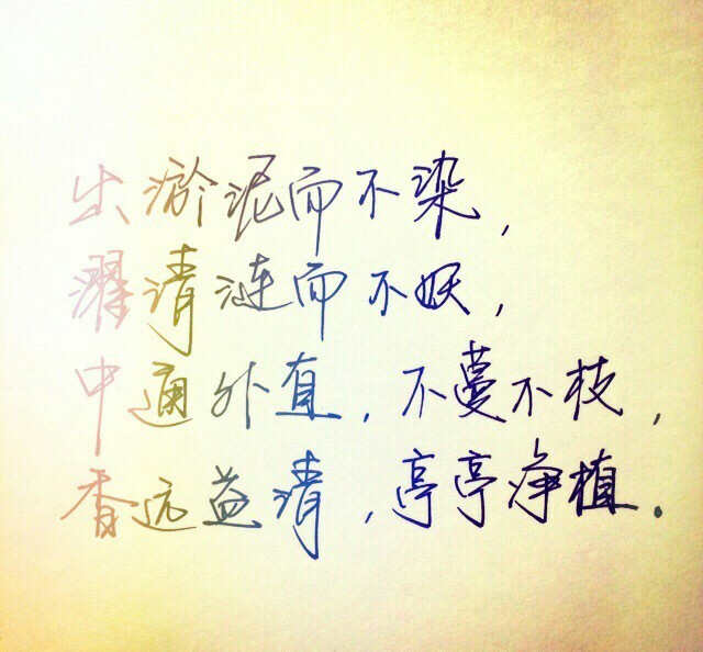 美美的字