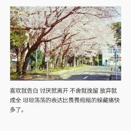 喜欢就告白,讨厌就离开.不舍就挽留,放弃…-堆糖,美好