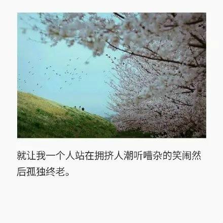 就让我一个人站在拥挤人潮听嘈杂的笑闹然后孤独终老.