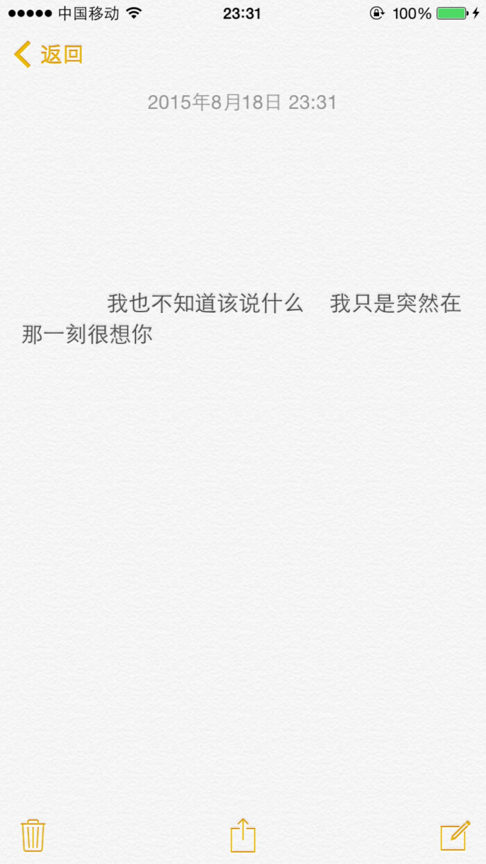 备忘录 文字 句子 爱情 突然很想你