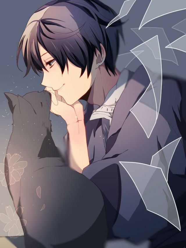 【此间少年】二次元 美少年 暖色调 邻家系 少年与猫咪 梦幻 制服控