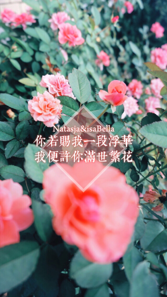 文字 句子 心情 情感 语录 清新 治愈 励志 意境 文艺 正能量 iphone