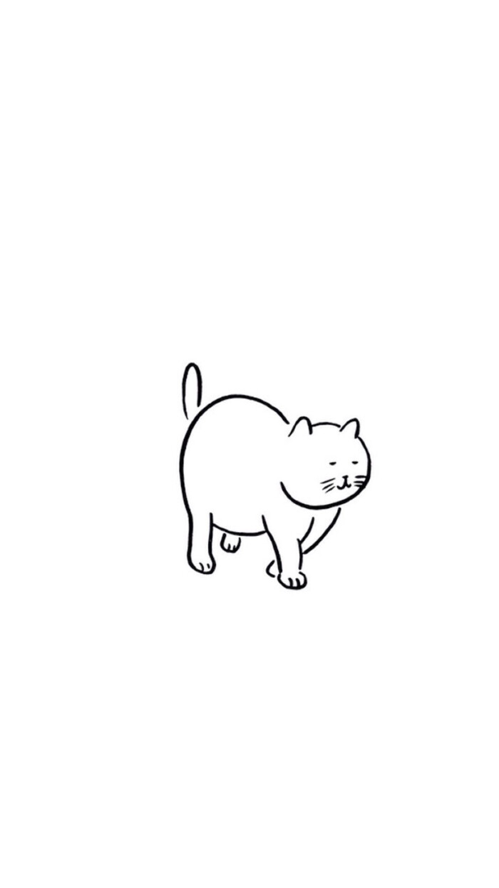 一只胖猫～壁纸