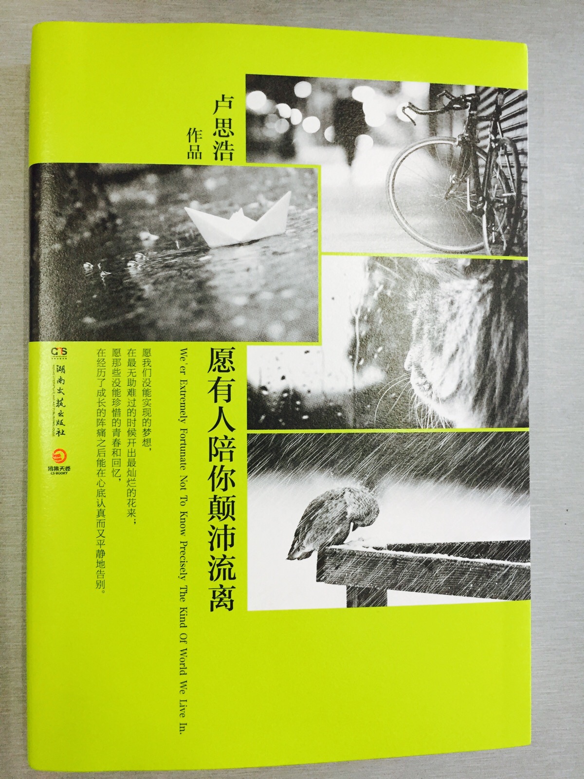 愿有人陪你颠沛流离,作者 卢思浩,喜欢封面的那句话"愿我们没能实现的