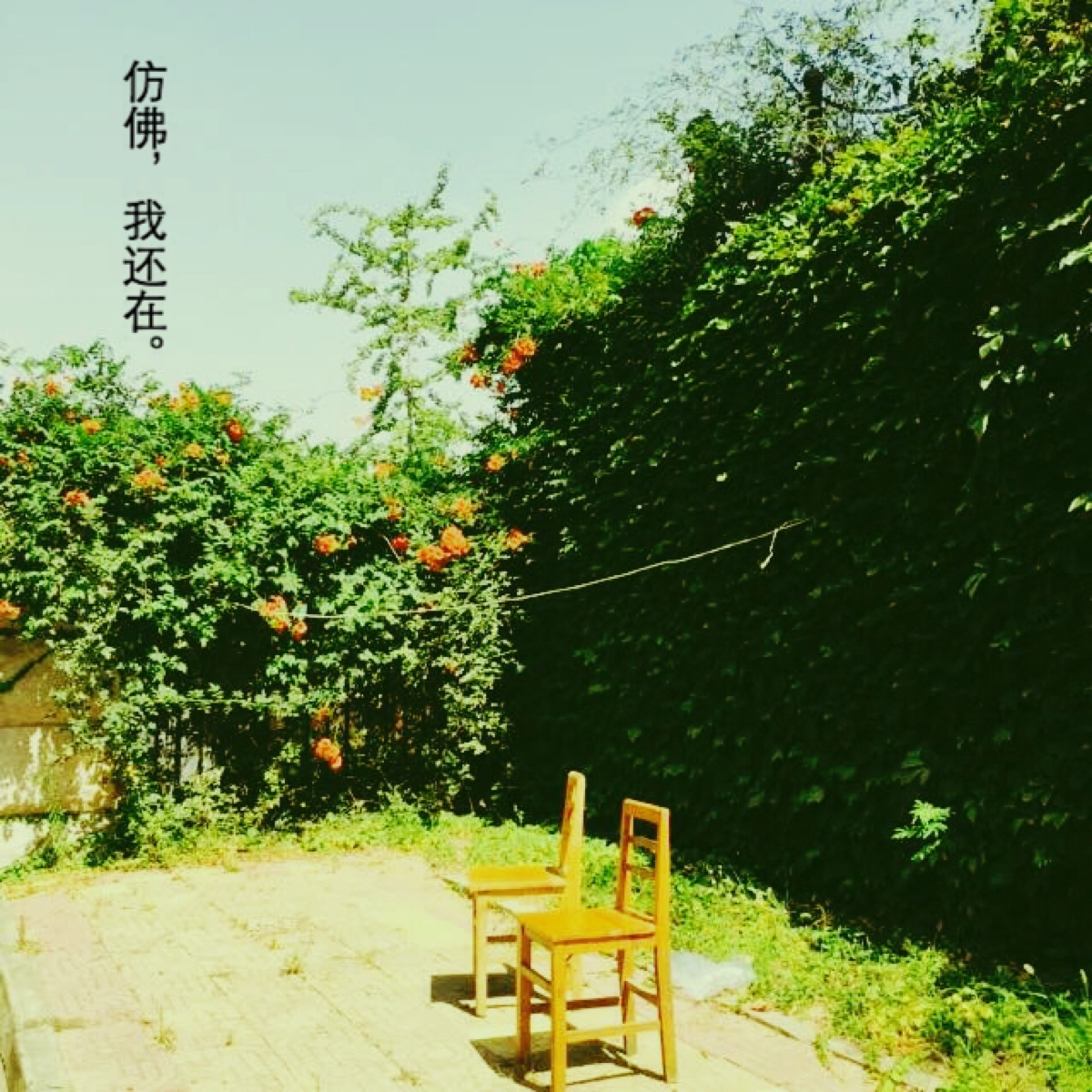 以为你还在,回到原点,我发现自己也在.-堆糖,美好生活