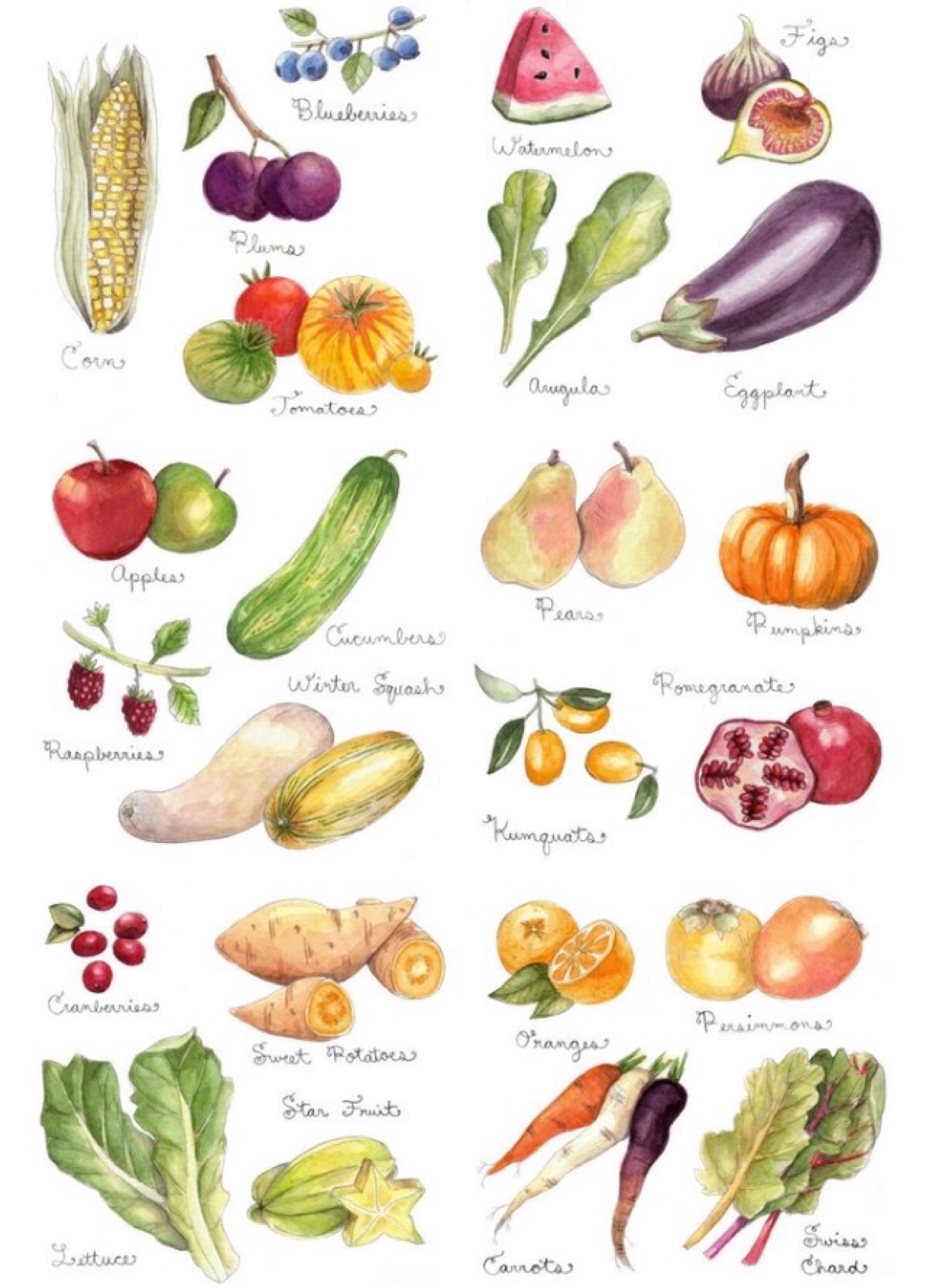 水果蔬菜的上色样式 有点难只供参考颜色形状