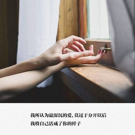 [句句戳人心 短句 伤心 句子 真理 配图 文字 壁纸 收藏 scavengers.