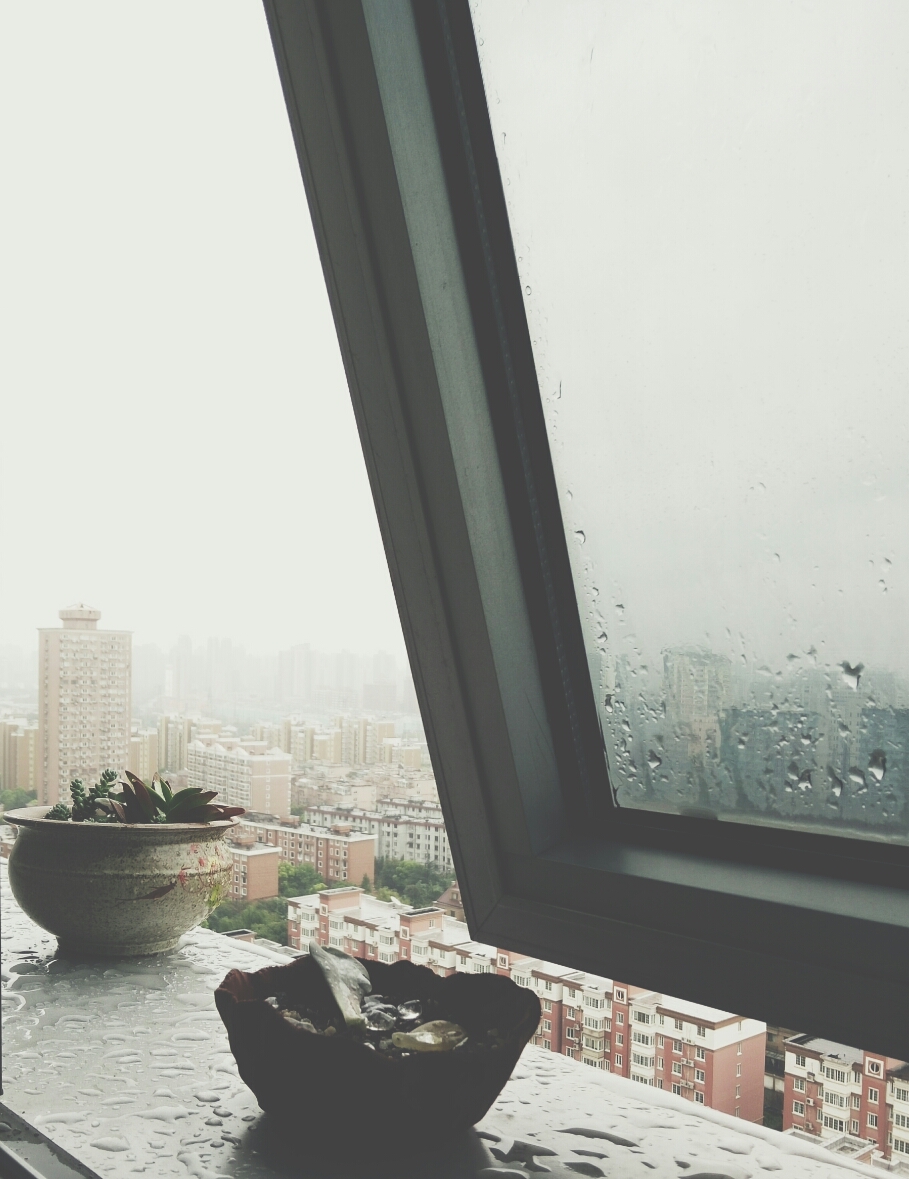 【窗景】下雨天,给呆萌淋雨