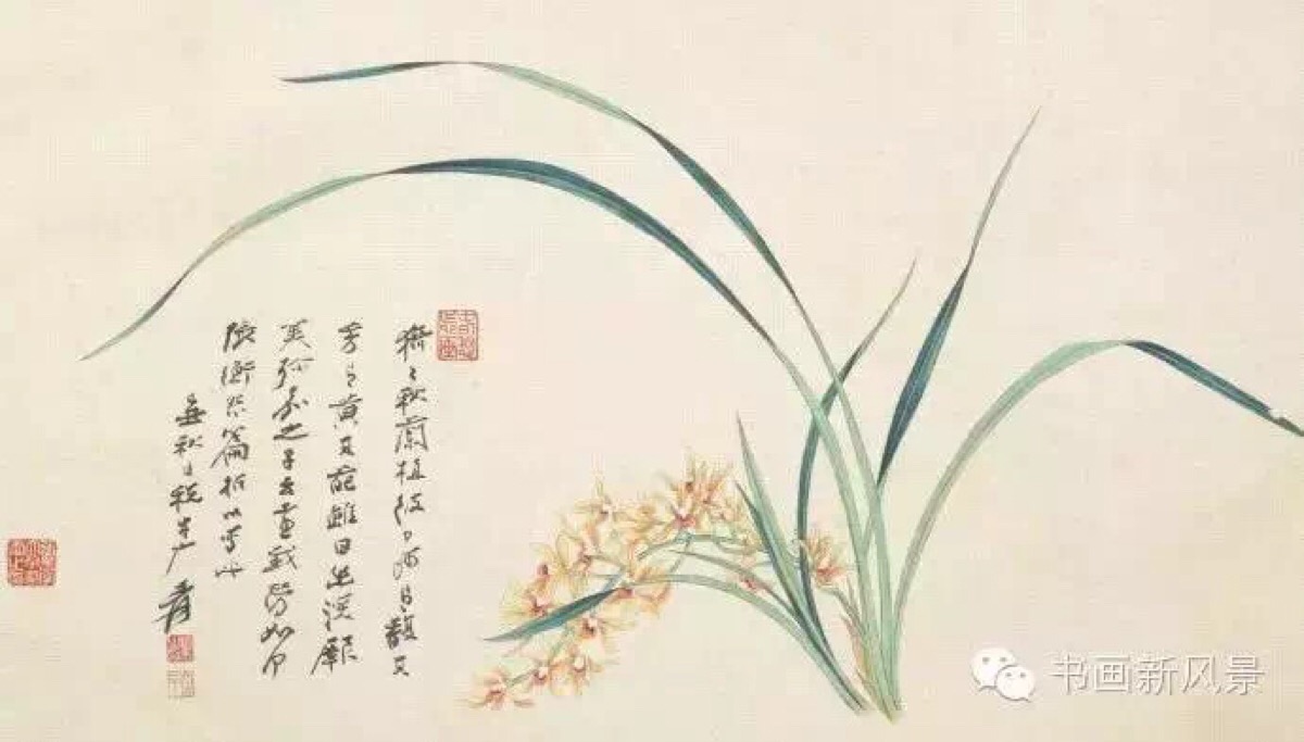 张大千《兰花》1949年作 题识:猗猗秋兰,植彼中阿,有馥其芳,有黄其葩