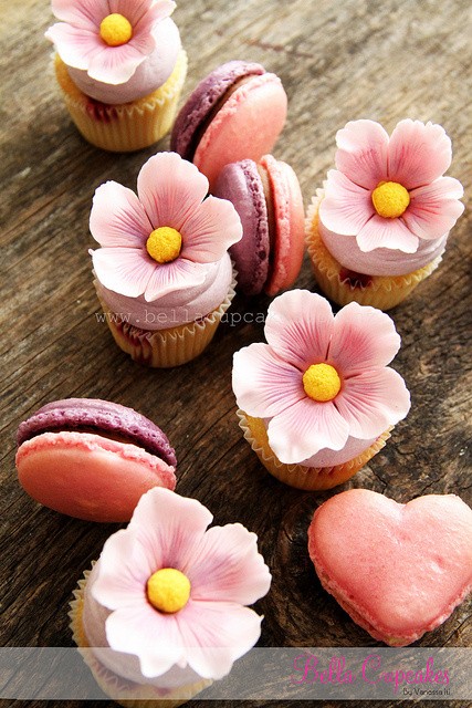 法国糕点 法式甜点 可爱 诱人 马卡龙 macaron,别称:少女的酥胸