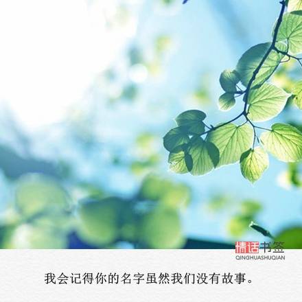 文字控##伤感短句##文字短句图片##治愈##青春##励志##by情话书签