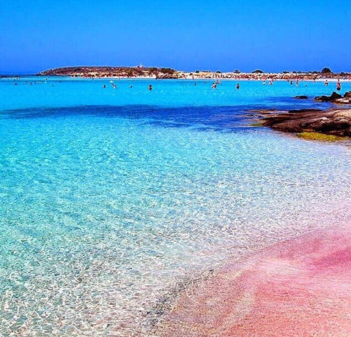 巴哈马哈勃岛的粉色沙滩 pink sands beach. @猫眼中的平行世界