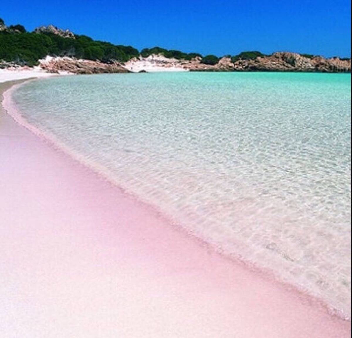 巴哈马哈勃岛的粉色沙滩 pink sands beach. @猫眼中的平行世界