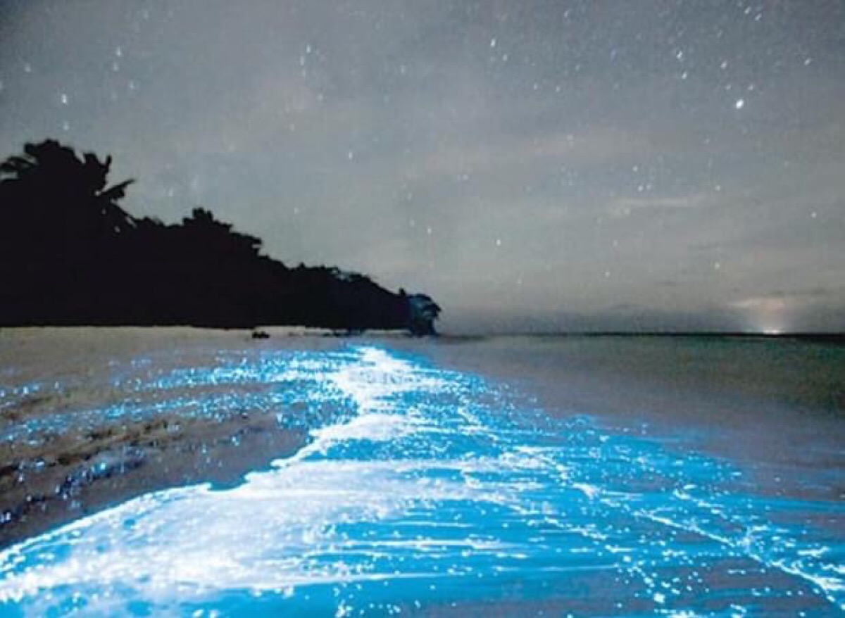 马尔代夫瓦度岛上的"蓝眼泪"沙滩.