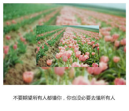 唯美图片带字