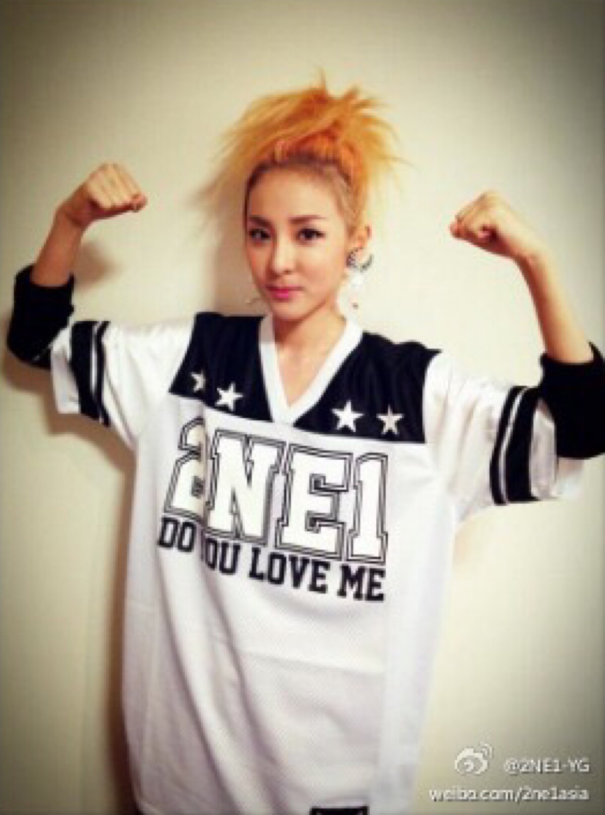 2ne1 dara