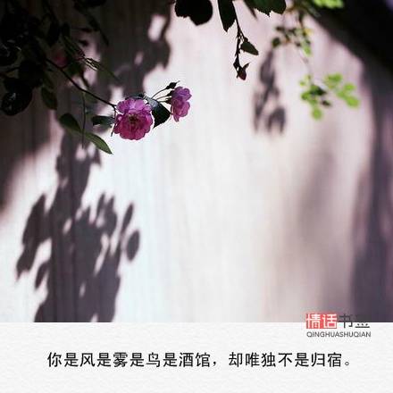 情话##伤感短句##文字句子图片##治愈##青春#励志##唯美##by情话书签