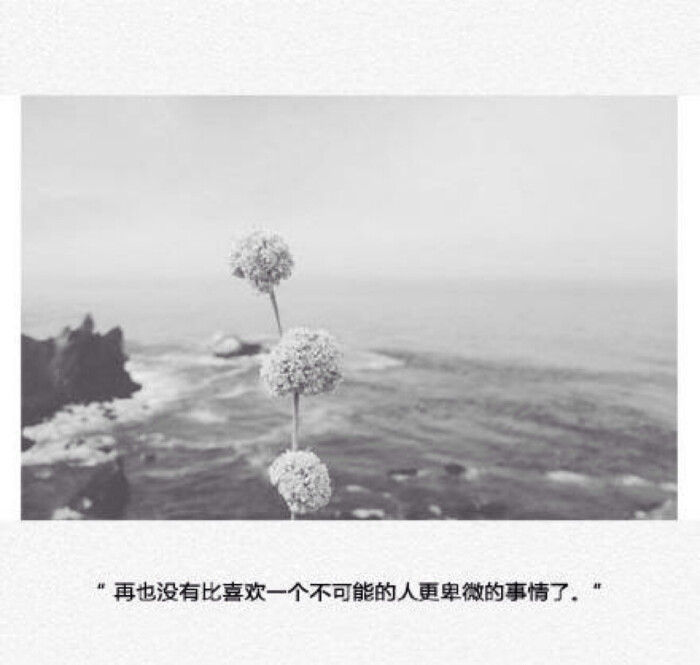 美图#文字#语录#心情#暗恋#情感#唯美#青春#心语#情话#虐心话