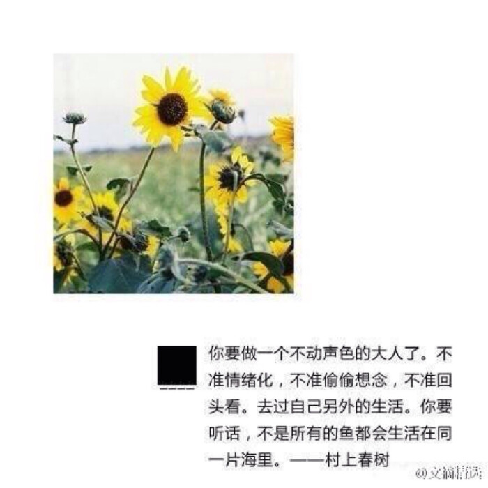 "我一直以为人是慢慢变老的,其实不是,人是一瞬间变老的.