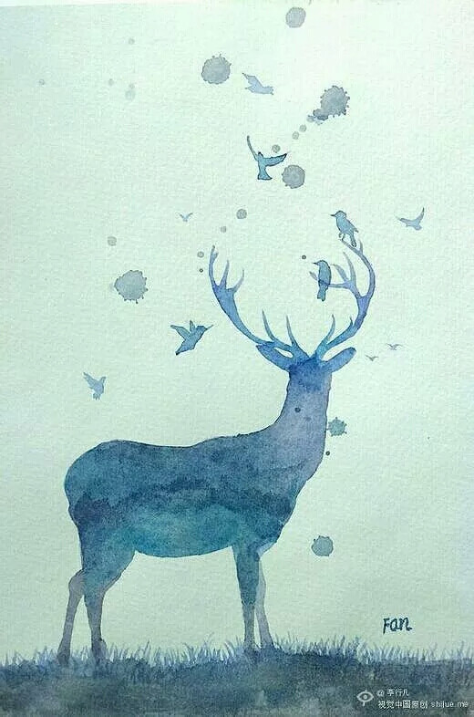 鹿,唯美图片,壁纸,动物