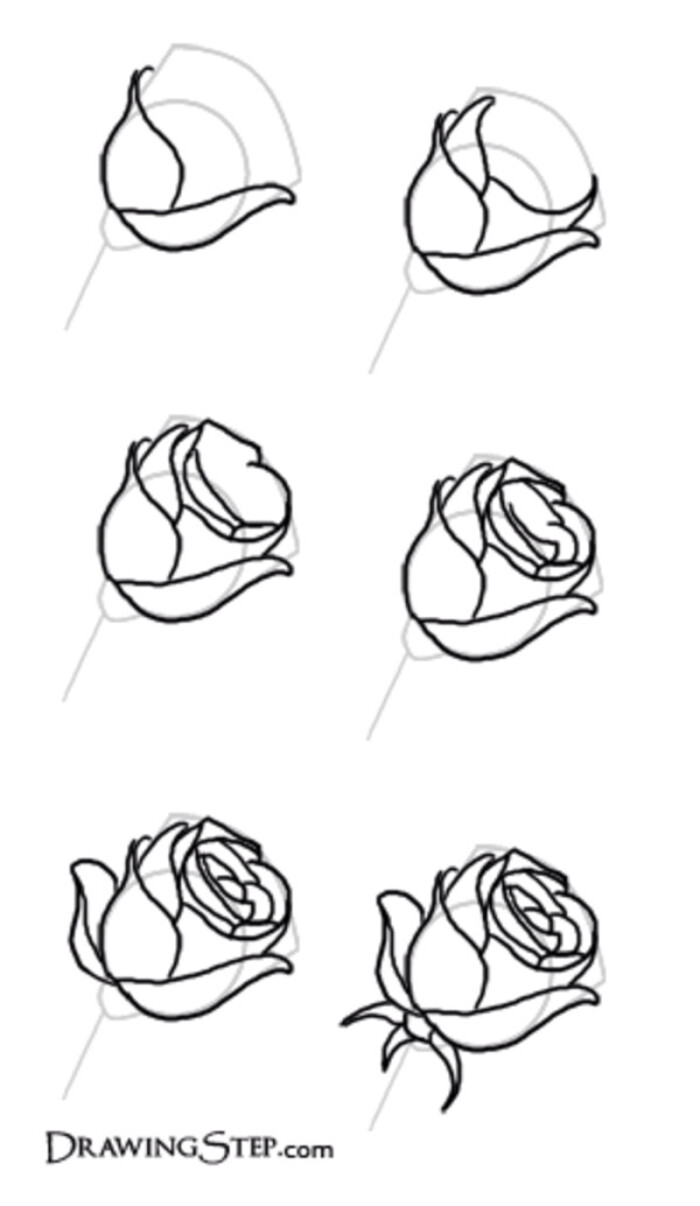 玫瑰花画法