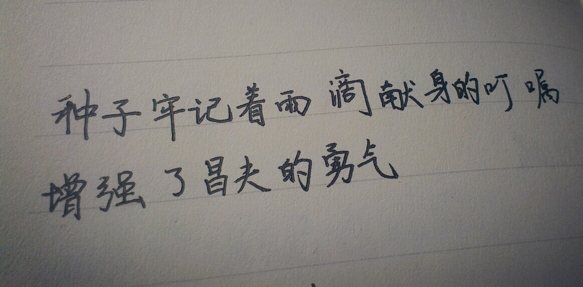 手写 句子 中文 唯美句子 伤感 壁纸 拿图收藏 黑白文字 关注@一只zu