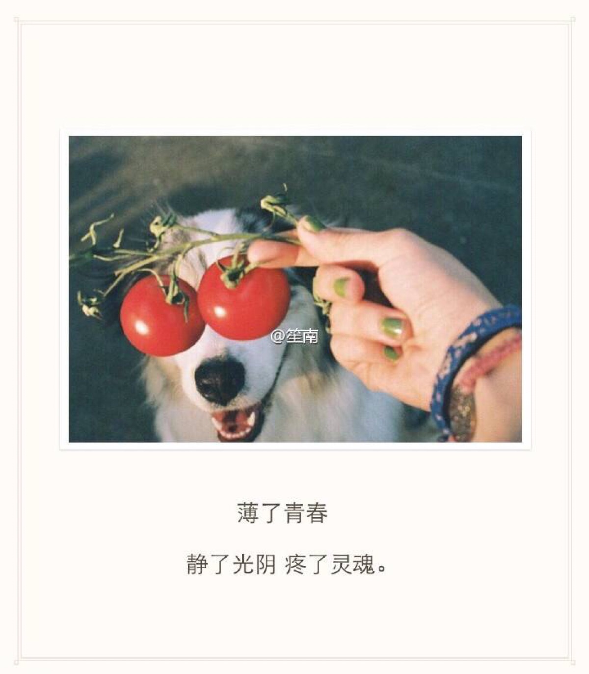 敬往事一杯酒