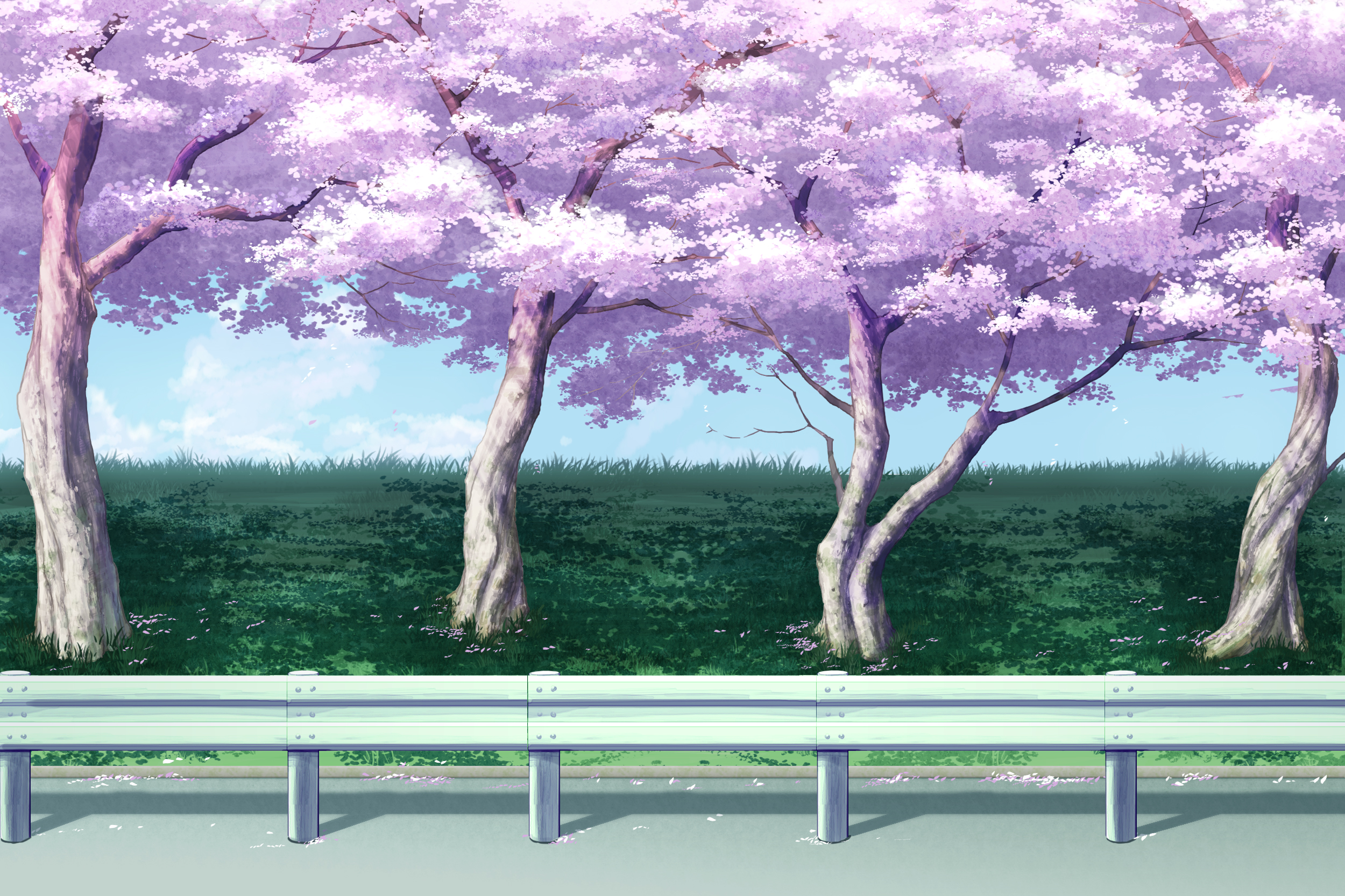 おこじょ 粉色 樱花 美丽 场景