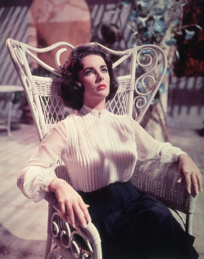 伊丽莎白·泰勒(elizabeth taylor)