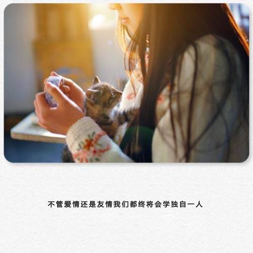 唯美图片带字