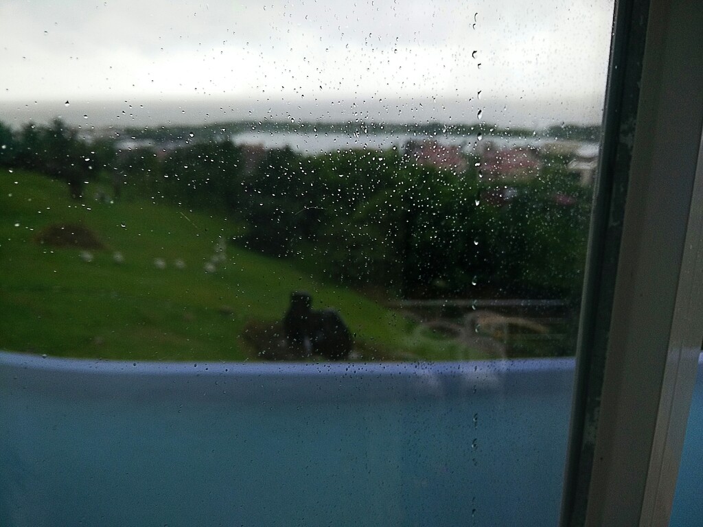 下雨的清晨