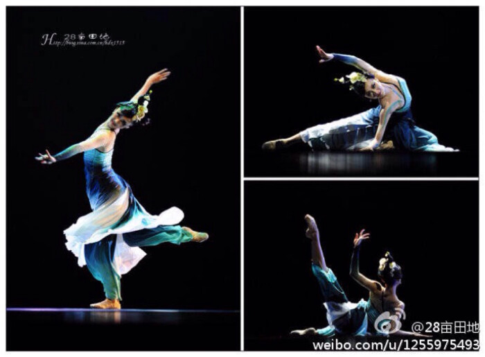 《空谷幽兰》 分享28亩田地的博文图片:【古典舞决赛】"十桃"舞蹈赛
