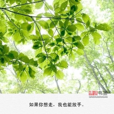 文字句子图片##治愈##青春#励志##唯美##壁纸##头像##by情话书签