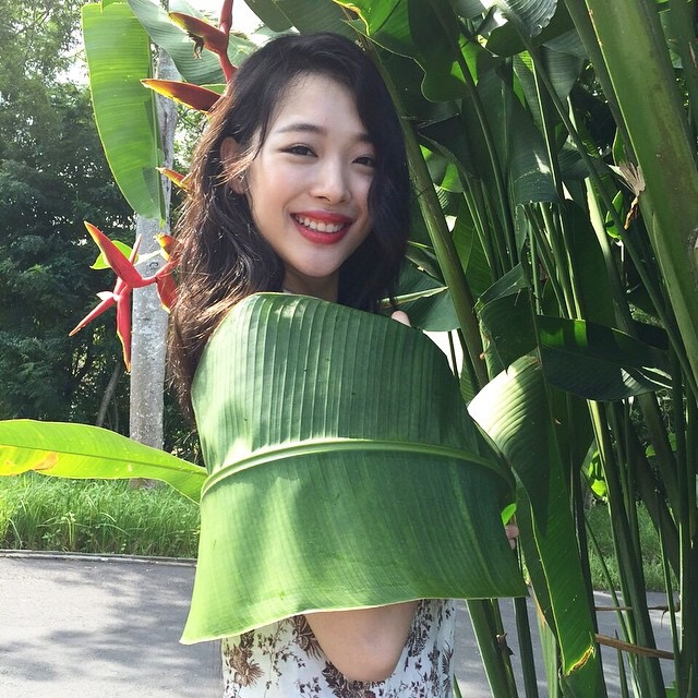 崔雪莉 sulli 头像