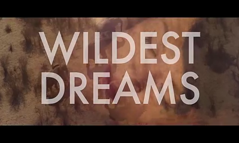 wildest dreamsmv自截图 欧美, taylor swift 霉霉 wildest dreams是