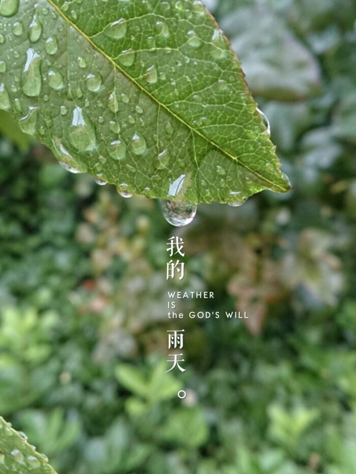 下雨天.