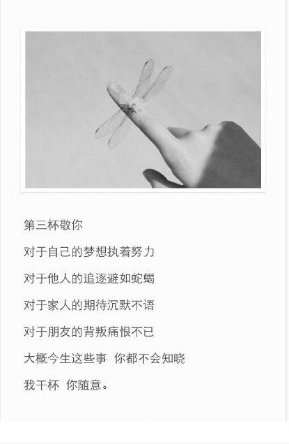 一杯酒敬可歌可泣的青春,再一杯敬反复无常的人生,最后一杯敬我也曾用
