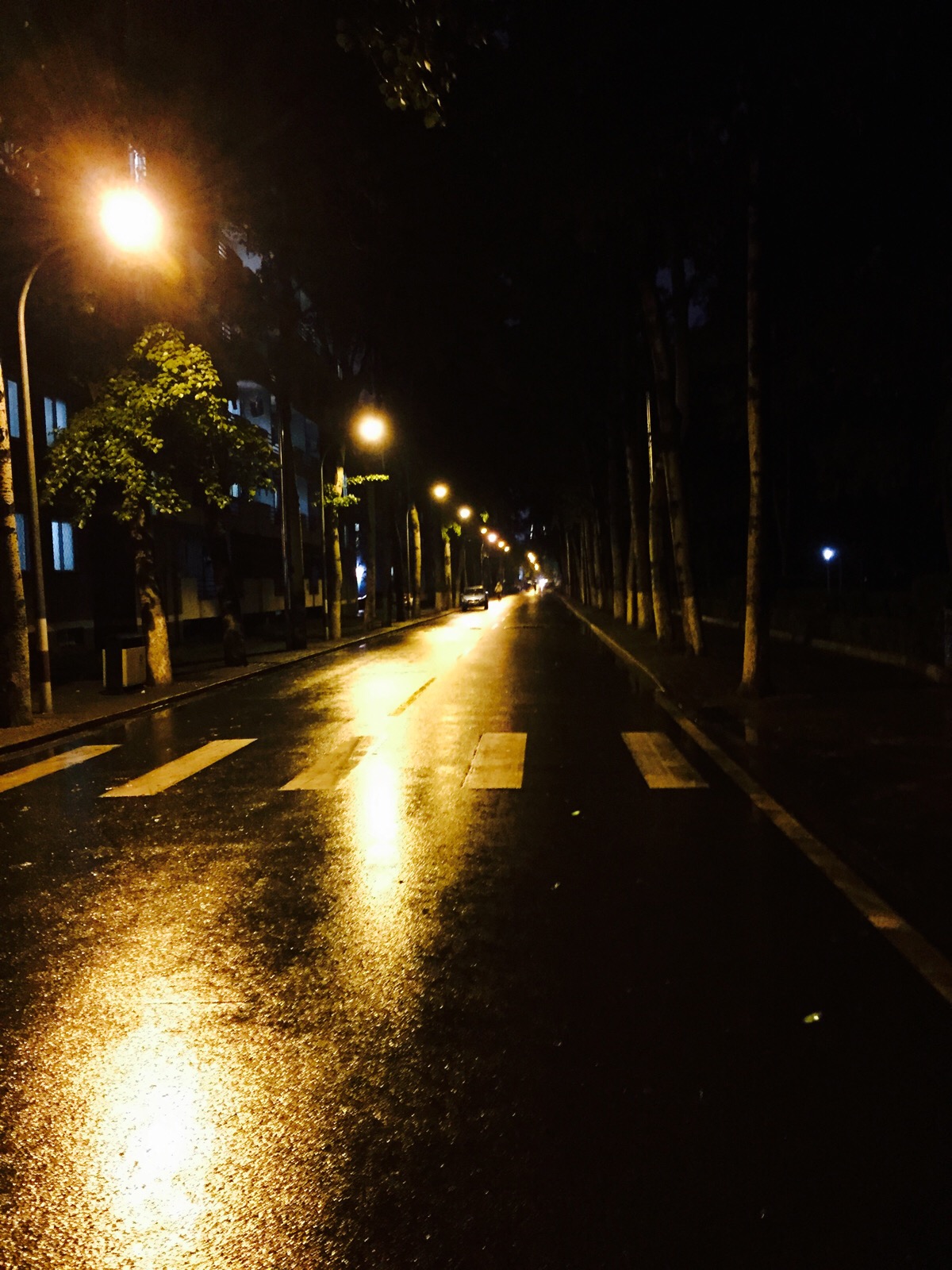 夜晚雨后的宿舍楼前