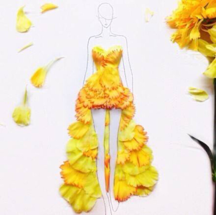 花瓣绘画壁纸