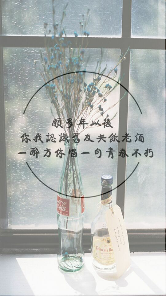 文字 壁纸 风景 二次元 歌词情话 电影语录 古风 手写体 插画 星空