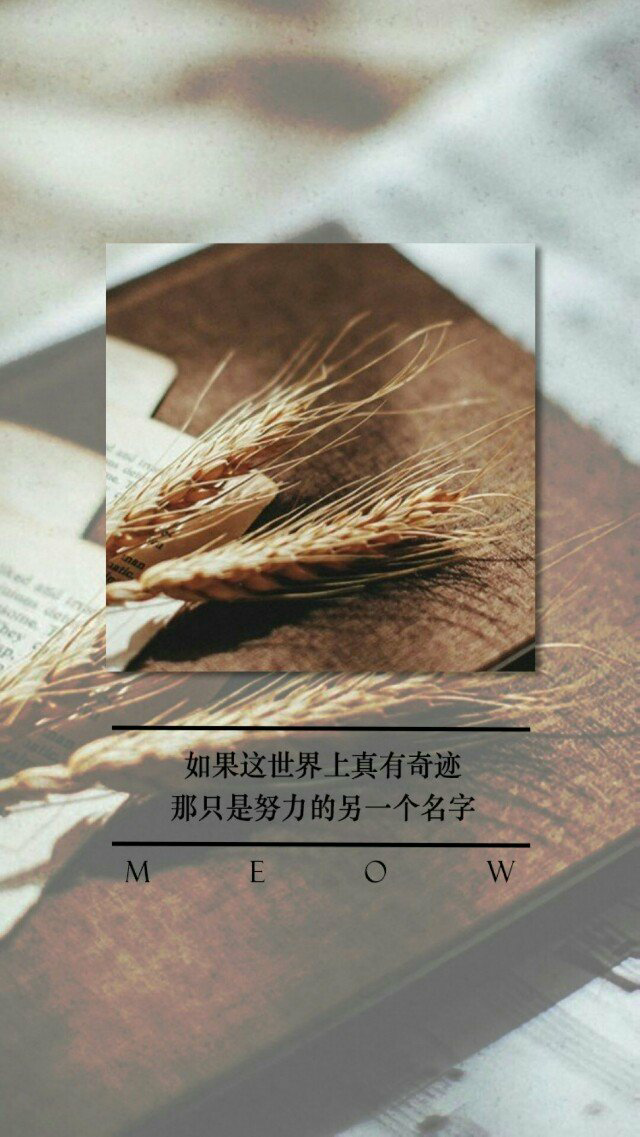 文字 壁纸 风景 二次元 歌词情话 电影语录 古风 手写体 插画 星空