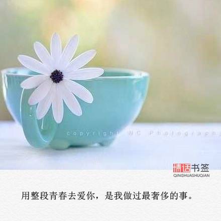 文字控##情话##伤感短句##文字句子…-堆糖,美好生活