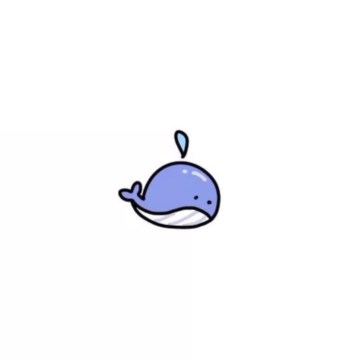 小鲸鱼 