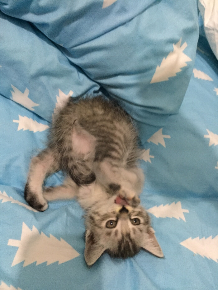 花式舔脚