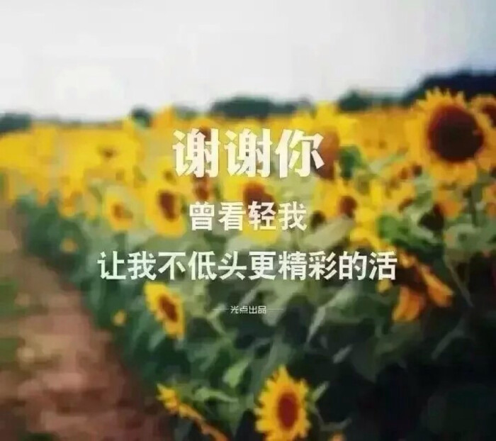 文字控 壁纸 谢谢你 曾经看轻我