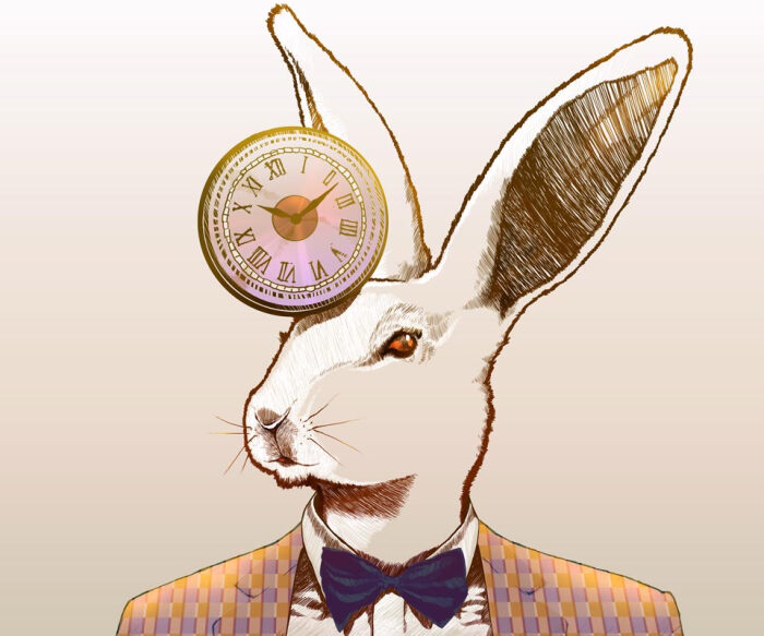爱丽丝系列,兔子先生(图片来自网络)