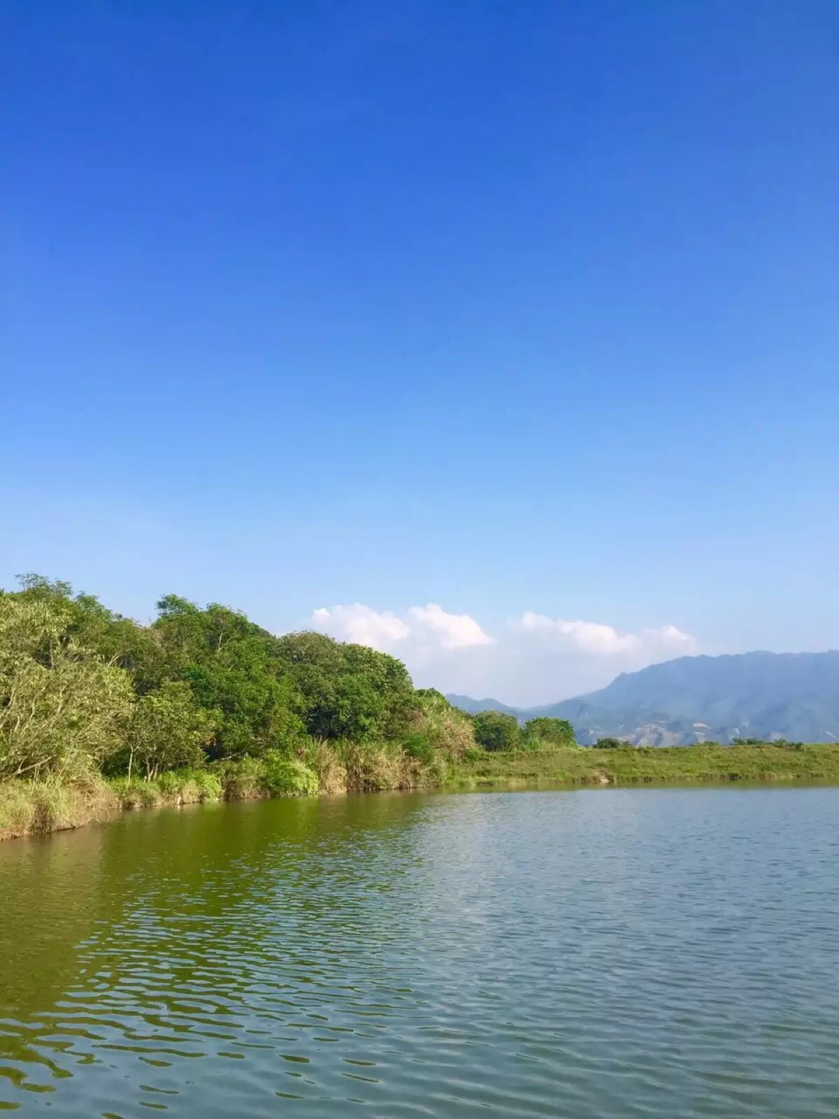 山山水水