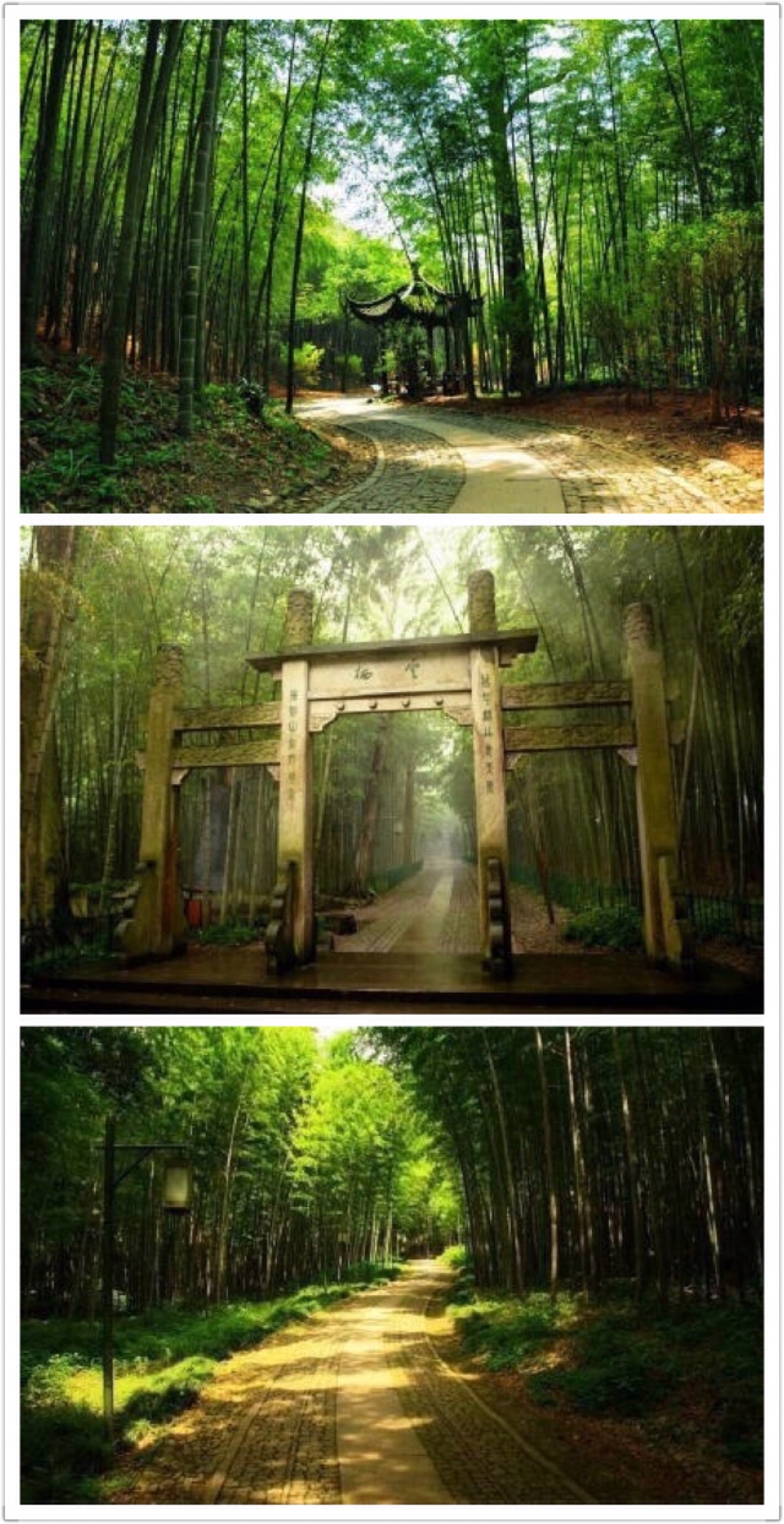 是杭州"新西湖十景"中难得的一处万千茂竹,叮咚溪泉的幽静地点,竹林