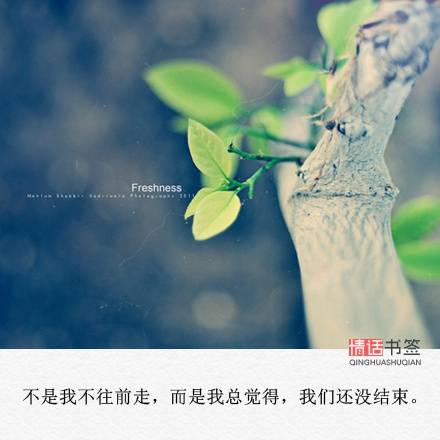 文字控##情话##伤感短句##文字句子图片##治愈##青春#励志##唯美