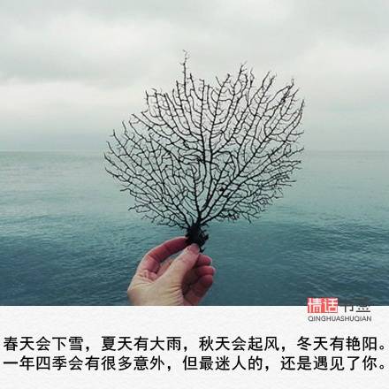 2020励志图片唯美伤感,2020奋斗励志图片唯美 文字控##情话##伤感短句##文字句子图片##治愈##青春#励志##唯美